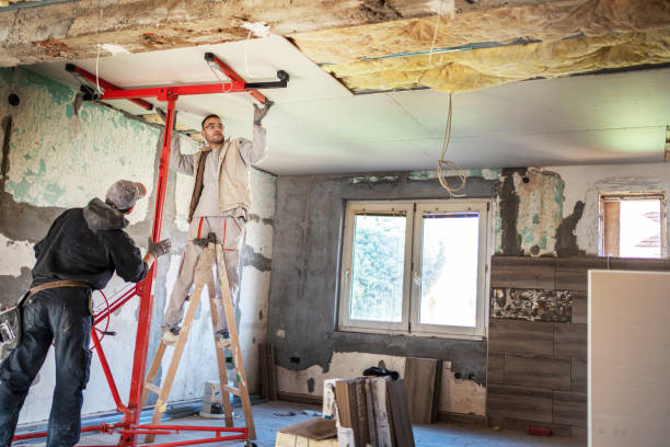 Best Cellulose Insulation in Concord, MO