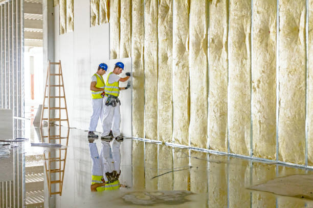 Best Geographic-Specific Insulation Services in Concord, MO